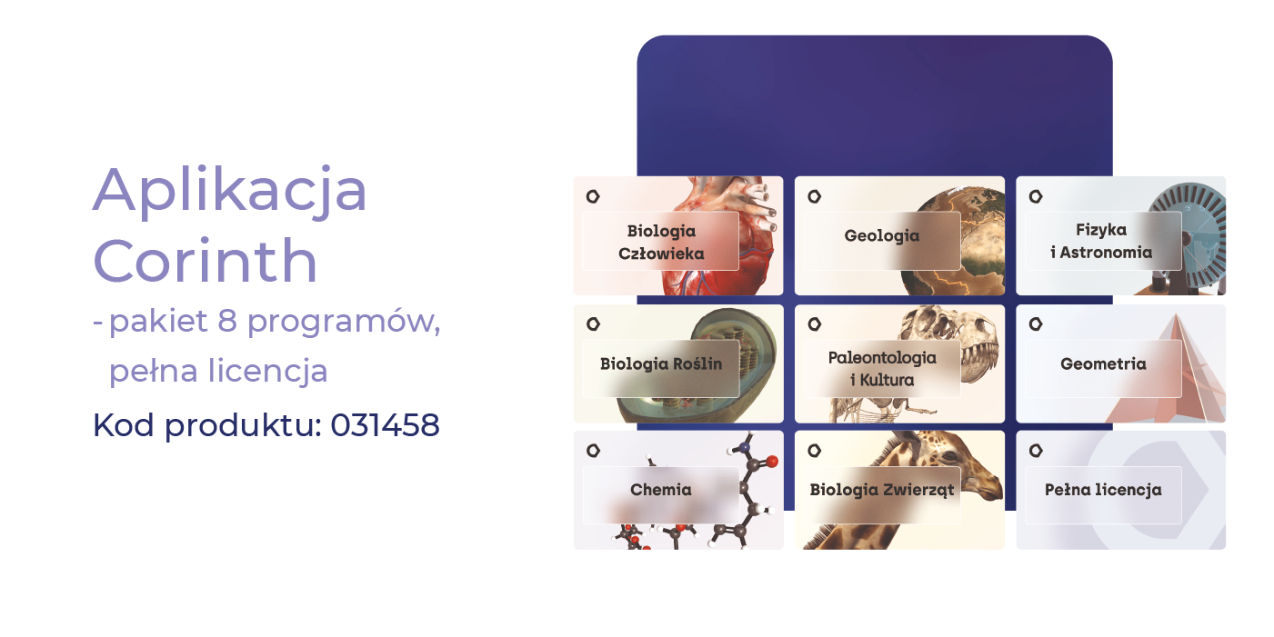 Obszar roboczy 1 kopia 22 Obszar roboczy 1 kopia 22